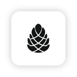 launchpine-casestudy-logo