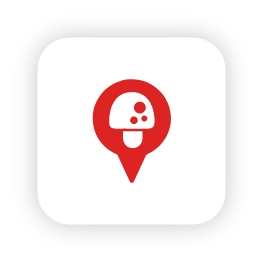 fungifinder-logo